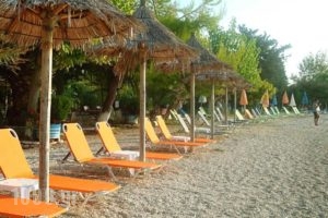 Delfini_lowest prices_in_Hotel_Ionian Islands_Lefkada_Lefkada's t Areas