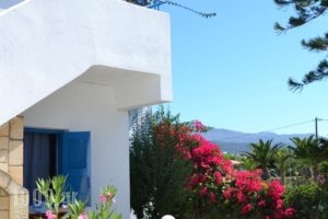 Galeana Beach Hotel_best prices_in_Hotel_Crete_Rethymnon_Adelianos Kampos