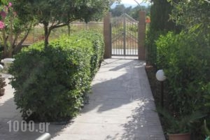 Paul'S Garden Studios_best prices_in_Hotel_Dodekanessos Islands_Rhodes_Rhodes Areas