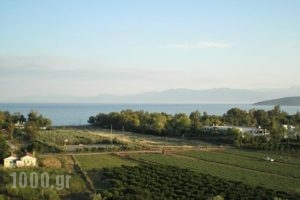 Christina Apartments_best prices_in_Apartment_Peloponesse_Argolida_Nafplio