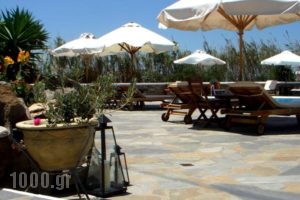 Jason_best deals_Hotel_Cyclades Islands_Mykonos_Mykonos ora