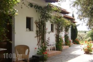 Kortiri Studios_holidays_in_Hotel_Macedonia_Halkidiki_Chalkidiki Area