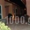 Camping Village Episkopi_best deals_Hotel_Ionian Islands_Lefkada_Vasiliki