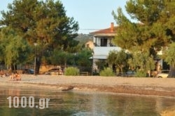 Zouzoula House in Agios Lavrendios , Magnesia, Thessaly