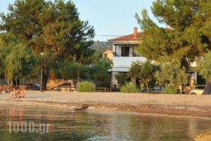 Zouzoula House_accommodation_in_Hotel_Thessaly_Magnesia_Agios Lavrendios