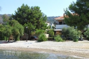 Zouzoula House_best deals_Hotel_Thessaly_Magnesia_Agios Lavrendios