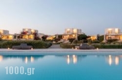 Stagones Luxury Villas in Paros Chora, Paros, Cyclades Islands