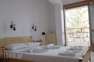 Hotel Velissarios_lowest prices_in_Hotel_Crete_Heraklion_Gouves