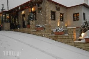 Oihalia Guesthouse_best prices_in_Hotel_Central Greece_Evritania_Karpenisi