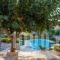 Villa Faye_holidays_in_Villa_Crete_Chania_Vryses Apokoronas