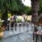 Sun Accommodation_best deals_Hotel_Sporades Islands_Skopelos_Skopelos Chora