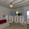 Studio Efi_best prices_in_Hotel_Cyclades Islands_Mykonos_Mykonos ora