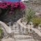 Mykonos Senses_holidays_in_Hotel_Cyclades Islands_Mykonos_Mykonos Chora