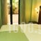 Villa Orion Hotel_best prices_in_Villa_Central Greece_Attica_Voula