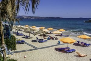 Stelakis Beach_best prices_in_Hotel_Macedonia_Kavala_Kavala City