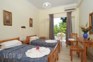 Passas Studios And Apartments_holidays_in_Apartment_Ionian Islands_Corfu_Benitses