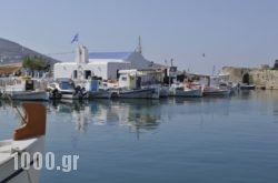 Blue Jasmin in Naousa, Paros, Cyclades Islands