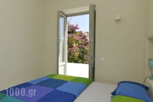 Blue Jasmin_lowest prices_in_Hotel_Cyclades Islands_Paros_Naousa