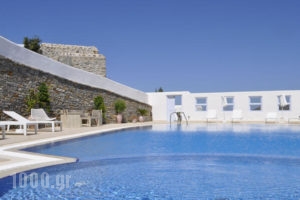 Belogna Ikons_travel_packages_in_Cyclades Islands_Naxos_Naxos chora