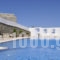 Belogna Ikons_travel_packages_in_Cyclades Islands_Naxos_Naxos chora