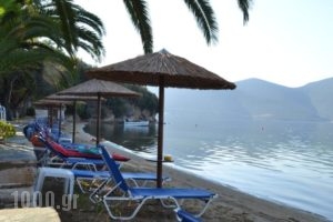 Akti Panagia_holidays_in_Hotel_Central Greece_Fthiotida_Stylida
