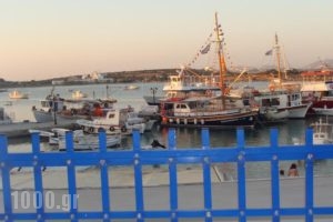 Akrogiali Studios & Rooms_best deals_Room_Cyclades Islands_Antiparos_Antiparos Chora