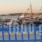 Akrogiali Studios & Rooms_best deals_Room_Cyclades Islands_Antiparos_Antiparos Chora