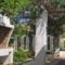 Villa Morfia_best deals_Villa_Cyclades Islands_Paros_Paros Chora