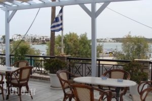 Akrogiali Studios & Rooms_lowest prices_in_Room_Cyclades Islands_Antiparos_Antiparos Chora