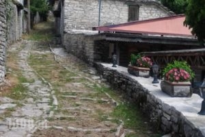 Vikos Hotel_holidays_in_Hotel_Epirus_Ioannina_Papiggo