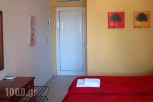 Vasilis Studios_best deals_Hotel_Peloponesse_Argolida_Argos