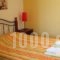 Vasilis Studios_best prices_in_Hotel_Peloponesse_Argolida_Argos