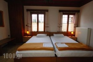 Vikos Hotel_best prices_in_Hotel_Epirus_Ioannina_Papiggo
