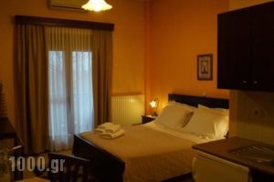 Xenonas Arxontiko_holidays_in_Hotel_Macedonia_Pella_Aridea