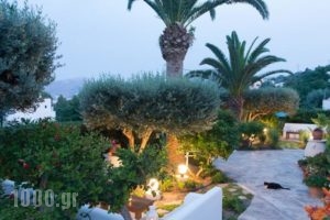 Hotel Elena_travel_packages_in_Dodekanessos Islands_Leros_Leros Chora
