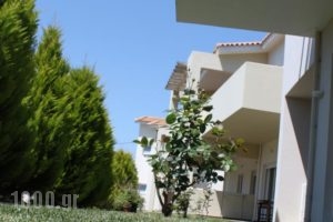 Alkistis Hotel_holidays_in_Hotel_Peloponesse_Achaia_Diakopto