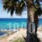 The Beachhouse_lowest prices_in_Hotel_Piraeus Islands - Trizonia_Methana_Methana Chora