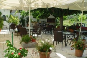 Studios Zoi_best prices_in_Hotel_Central Greece_Evia_Edipsos