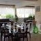 Studios Zoi_best deals_Hotel_Central Greece_Evia_Edipsos