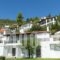 Villa Bienvenue_holidays_in_Villa_Thessaly_Magnesia_Pinakates