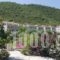 Smyros Resort_best prices_in_Hotel_Peloponesse_Arcadia_Leonidio