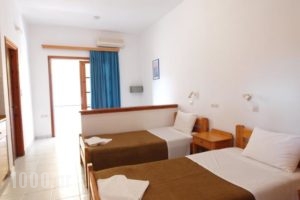 Irini Apartments_best prices_in_Apartment_Crete_Chania_Platanias