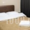 Pella Inn Hostel_best prices_in_Hotel_Central Greece_Attica_Athens