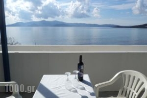 O Fotiz_accommodation_in_Hotel_Cyclades Islands_Naxos_Naxos chora