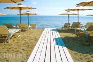 Akti Oneirou Camping and Bungalows_holidays_in_Hotel_Macedonia_Halkidiki_Chalkidiki Area