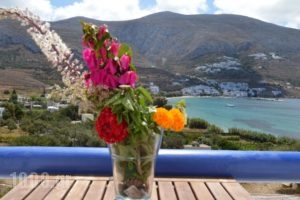 Amorgi Studios_best prices_in_Hotel_Cyclades Islands_Amorgos_Amorgos Chora