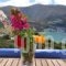 Amorgi Studios_best prices_in_Hotel_Cyclades Islands_Amorgos_Amorgos Chora