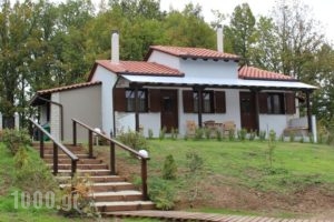 Kedros_accommodation_in_Hotel_Macedonia_Halkidiki_Arnea