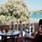Elena Apartments_holidays_in_Apartment_Crete_Chania_Almyrida