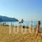 Alexandros Apartments_holidays_in_Room_Ionian Islands_Corfu_Agios Gordios